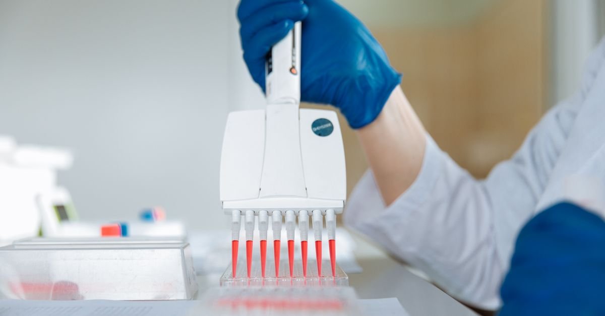 Rigorous Testing and Quality Assurance
